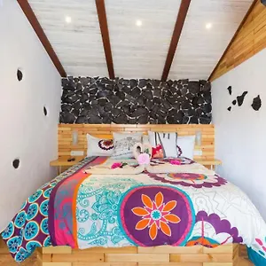 Traditional Canary In , Masca Spain